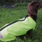 DacMac waterproof mini dachshund coat in yellow